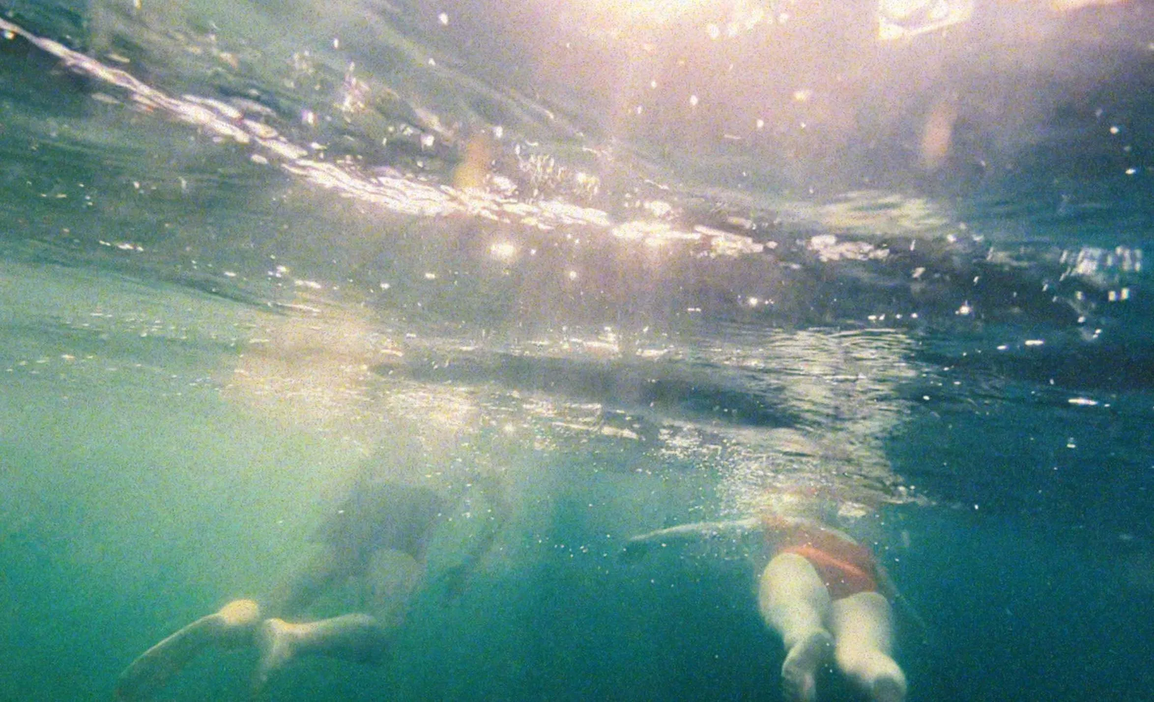 Unreachable love: Huang's parents swim away in Will You Look at Me / Photo by Shuli Huang, courtesy of The Sundance Institute
